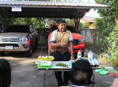 ปลูกผัก ปลูกรัก บ้านนี้มีรัก ปลูกผักกินเอง พารามิเตอร์รูปภาพ 4